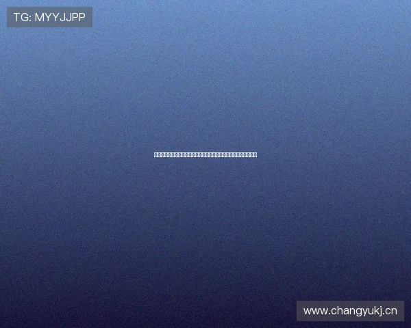 上海卫视五星体育直播节目表全览每日赛事时间安排与精彩看点指南